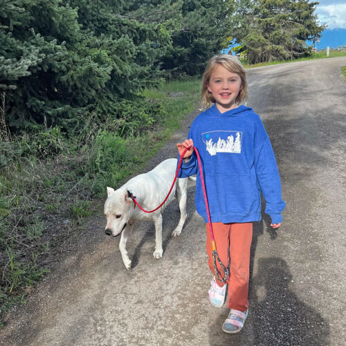 Dog Walker
